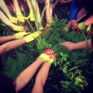 Ways to Support the Local Foods Movement Image